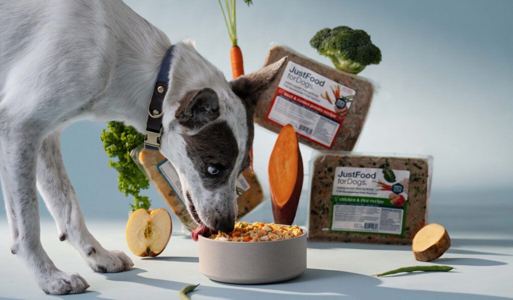 Pet food industry a decade after the Melamine recall of 2007