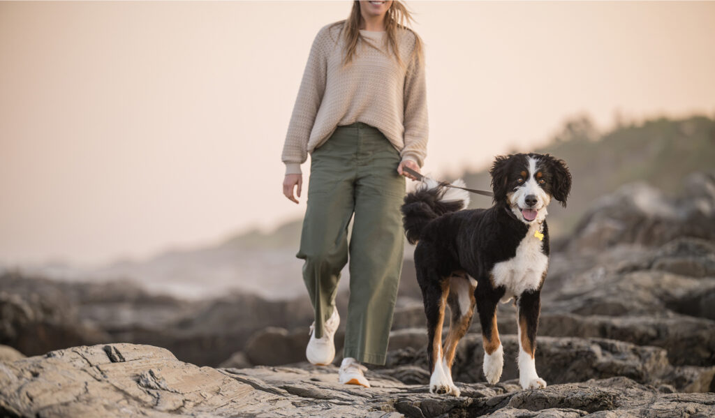 How to keep your dog healthy