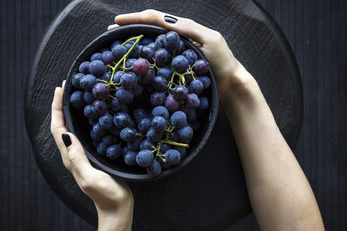 Are Grapes and Raisins Toxic to Dogs? Can Dogs Eat Grapes & Raisins?