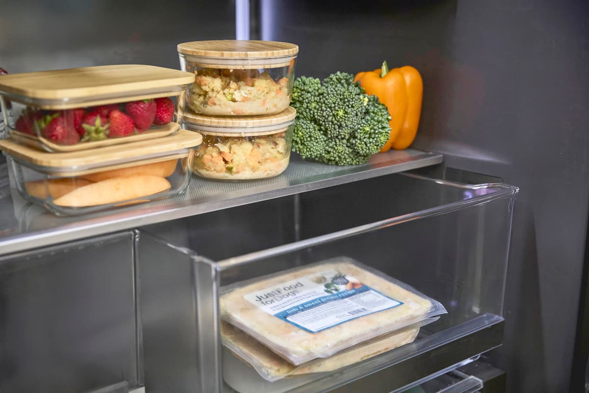 What Nutrients Do Dogs Need? An Essential Guide.