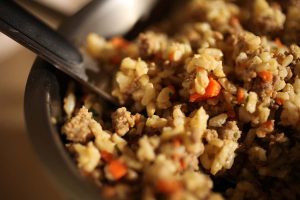 homemade dog food with ground beef