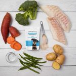 homemade dog food with fish