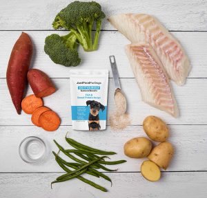 homemade dog food with fish