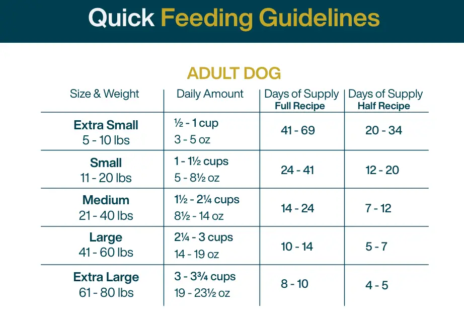 diy turkey feeding guidelines
