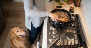 diy turkey dog food cooking