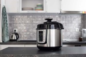 instant pot dog food recipe