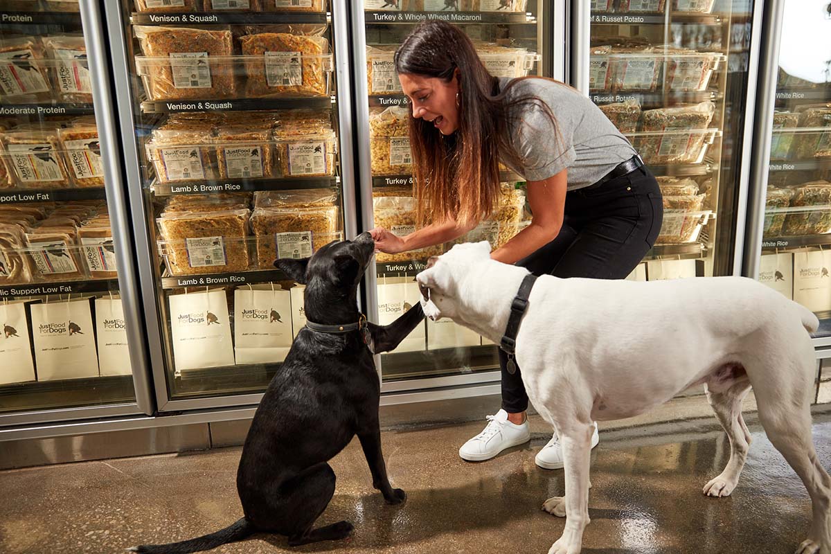 justfoodfordogs chicago store