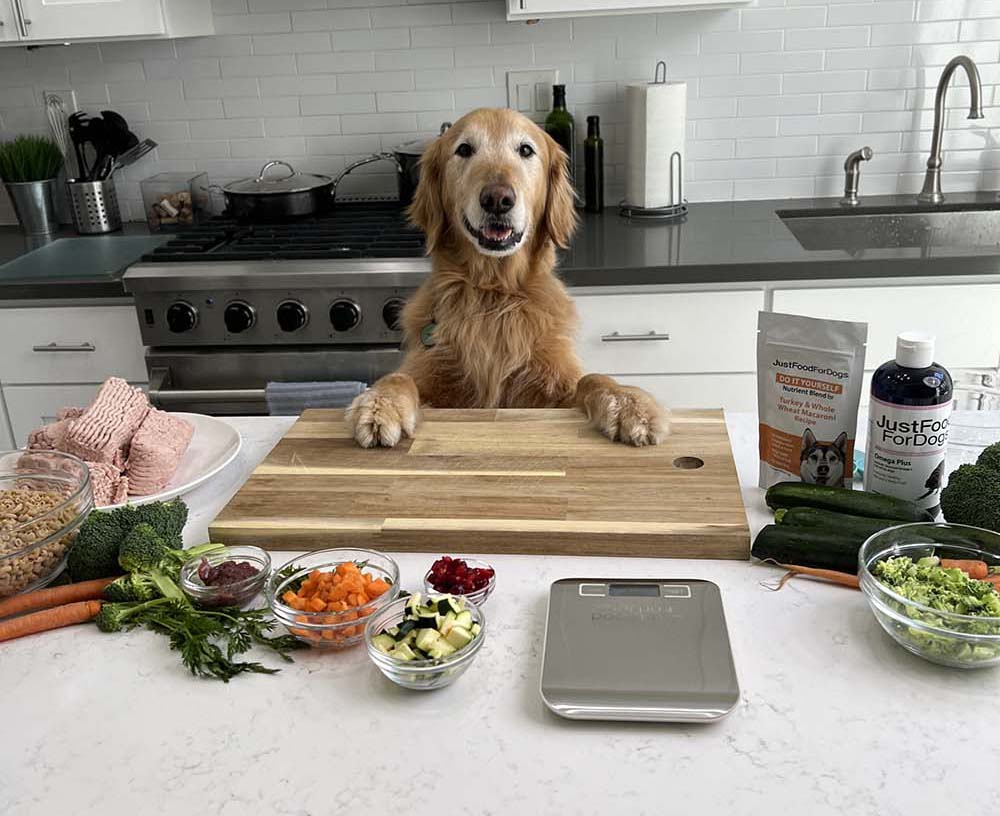 dog meal prep hacks