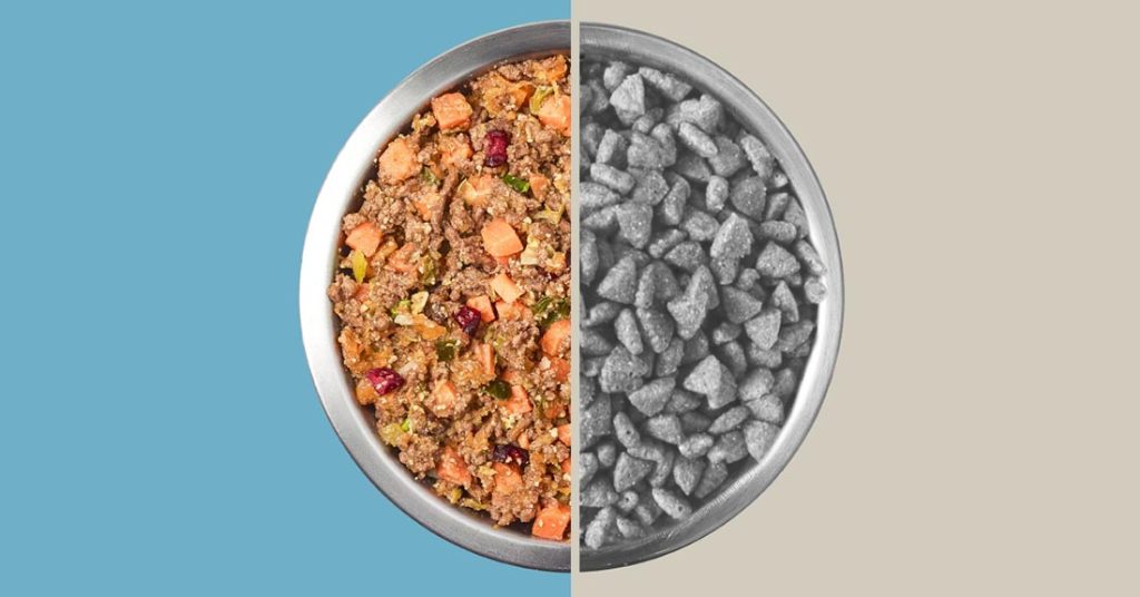 a bowl with kibble vs fresh dog food