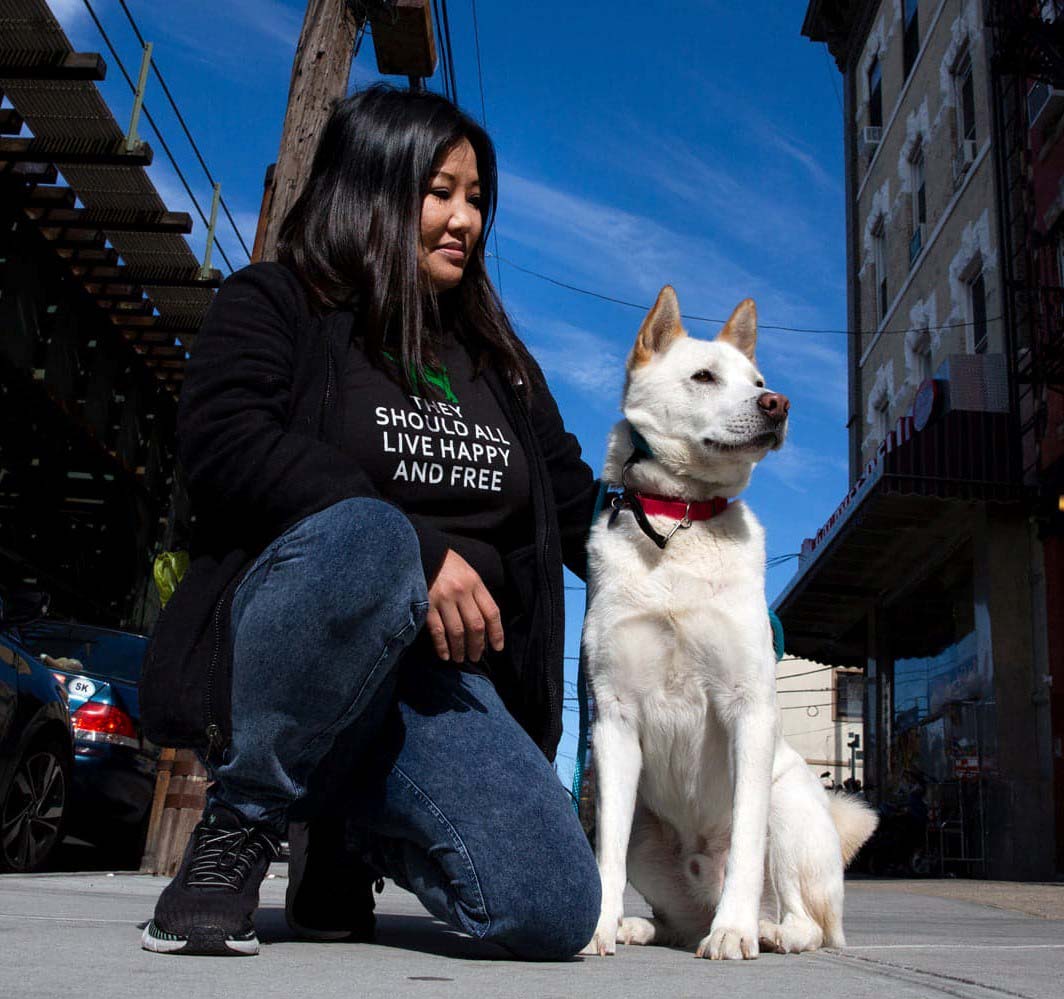gina korean k9
