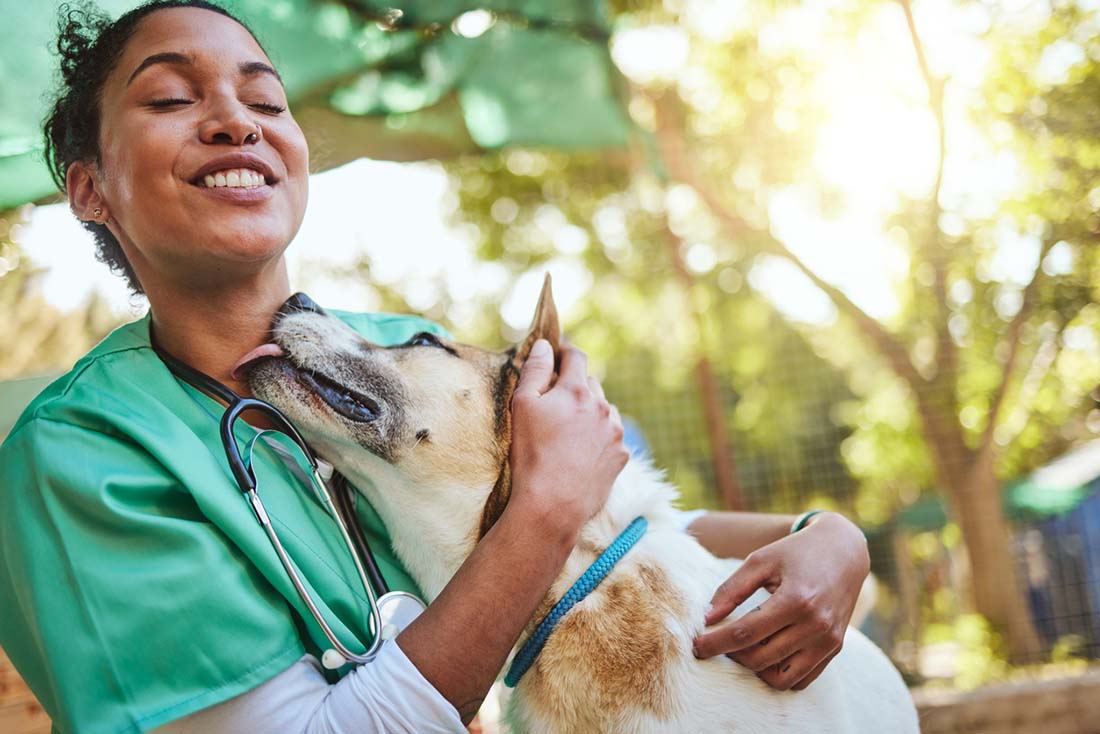 veterinary mental health