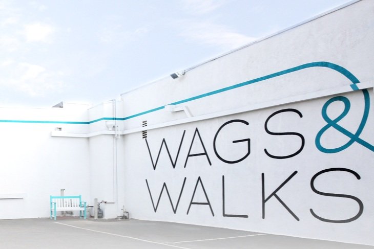 wags and walks