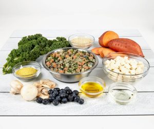 Shower Thought: Can Humans Eat Dog Food?