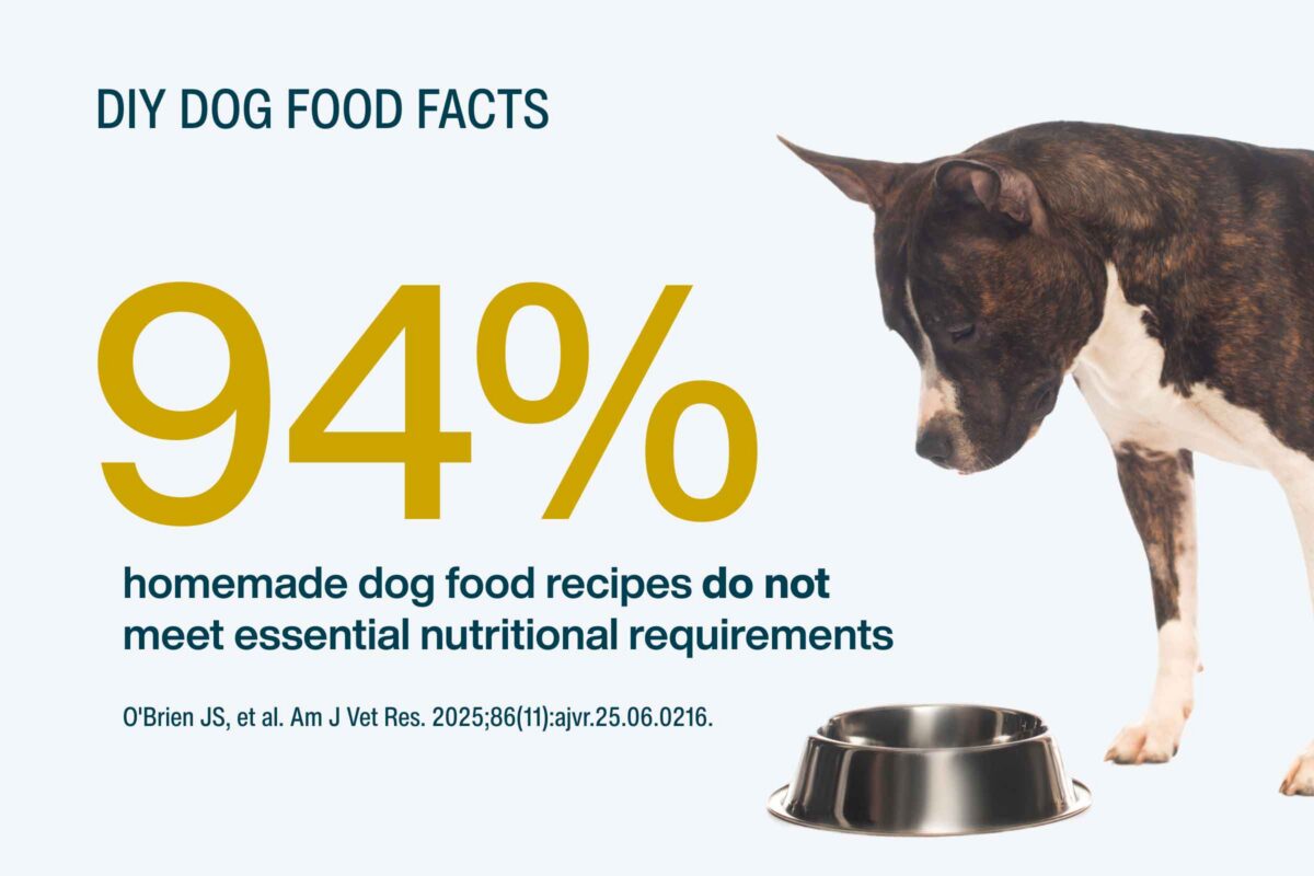 diy dog food infographic