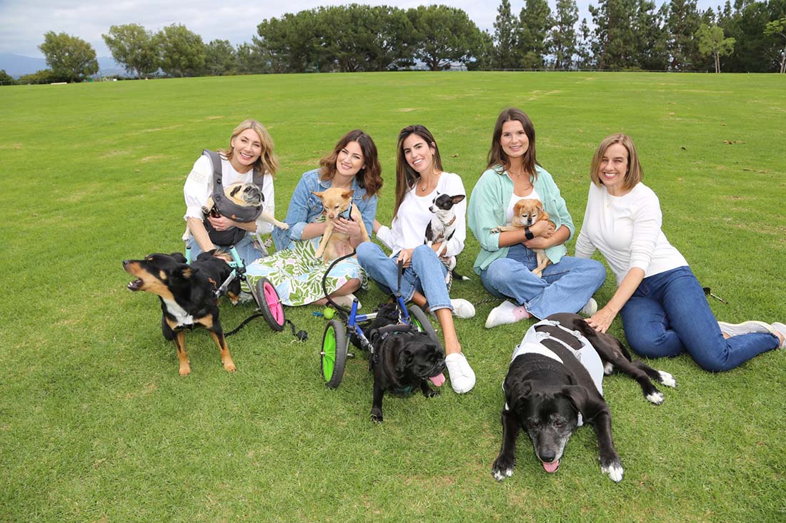 unconditional rescue team