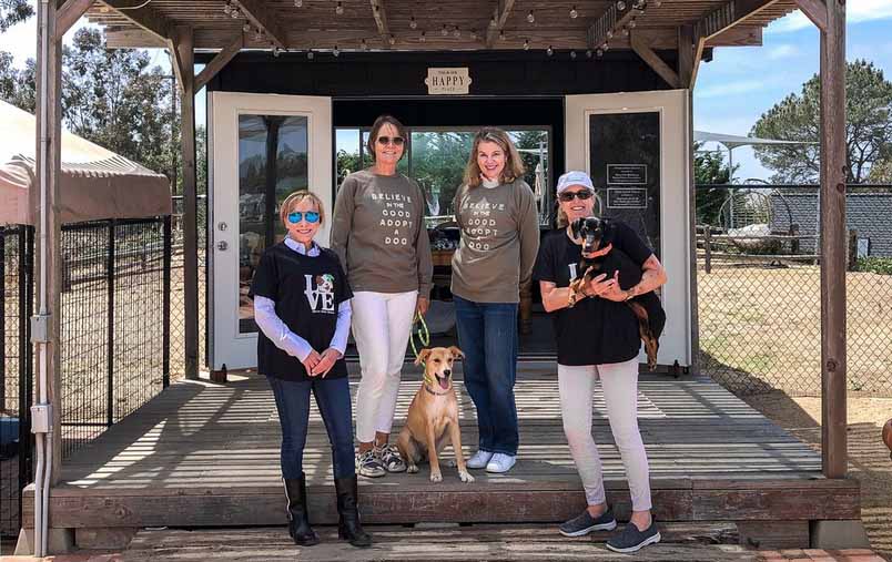 thrive animal rescue
