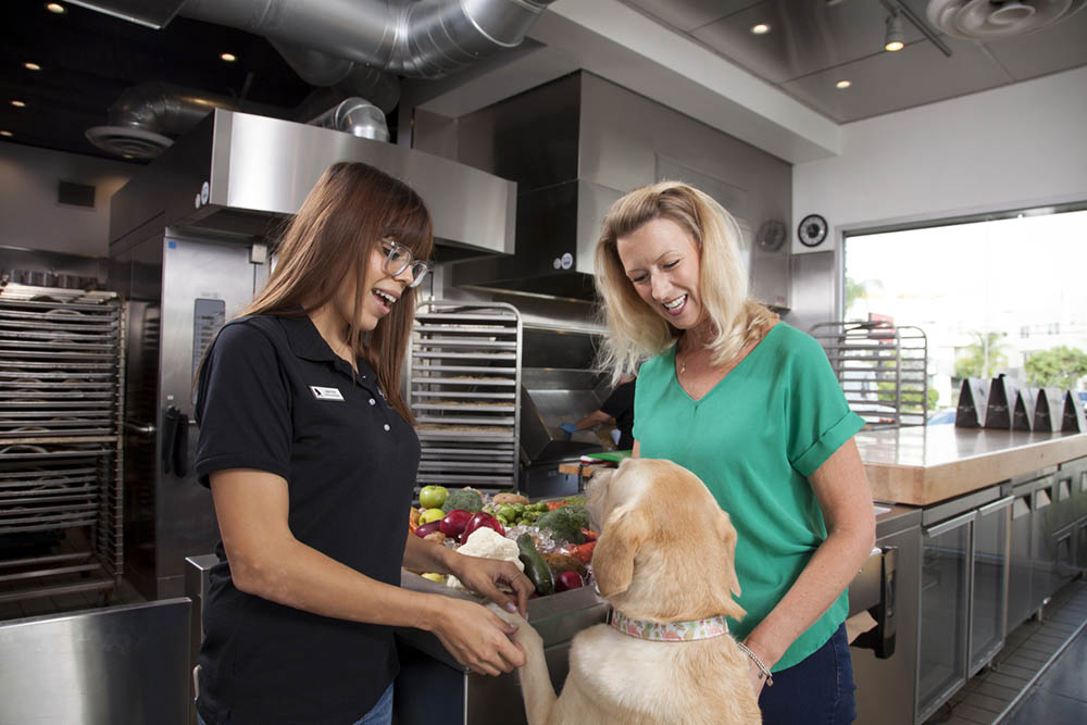 dog store consult