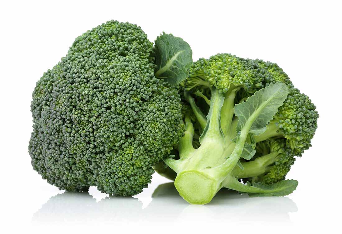 broccoli for dogs