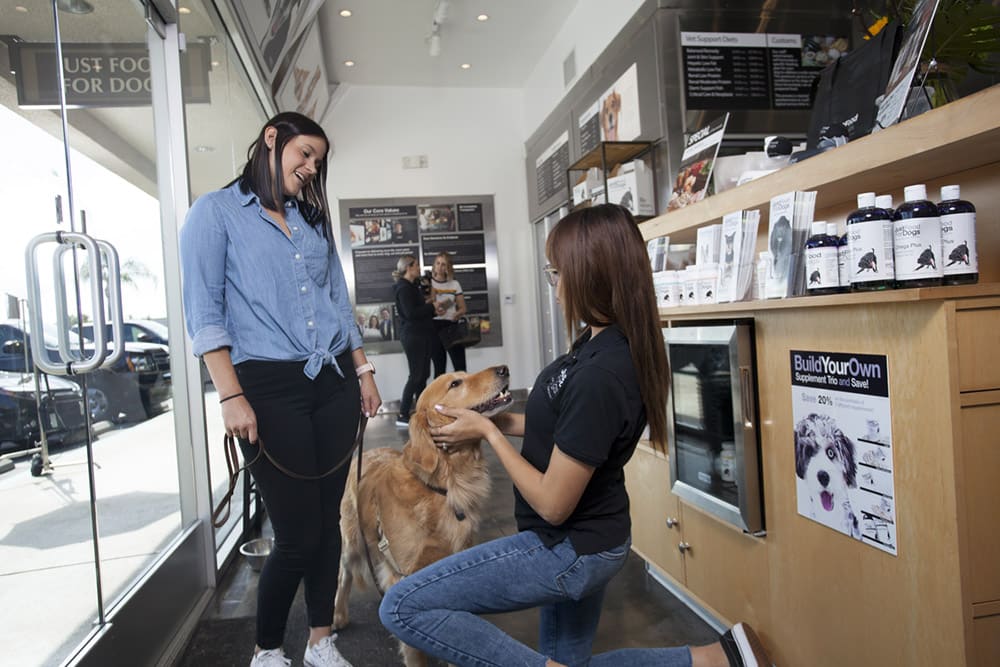 dog consult in jffd store