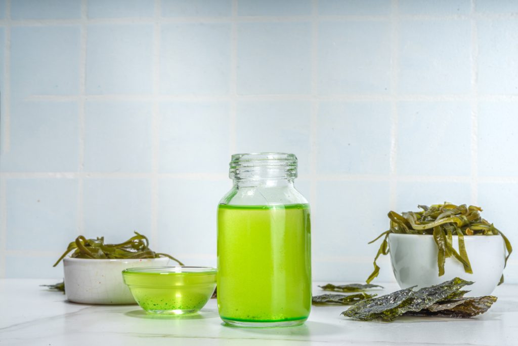 algae oil benefits for dogs