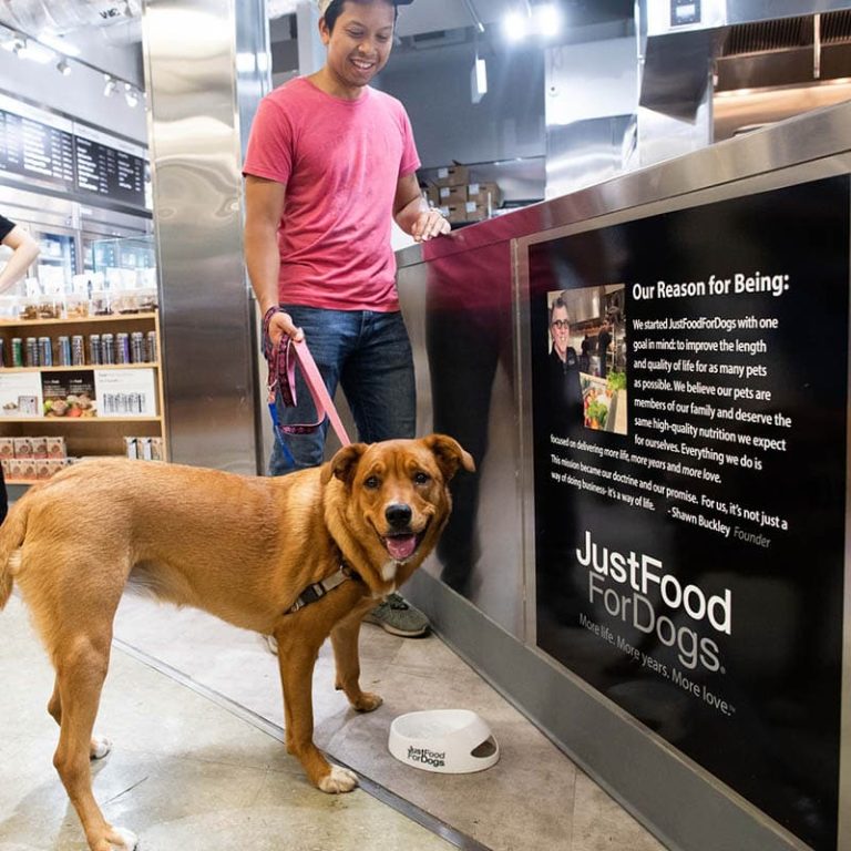 WSAVA Guidelines Explained How To Choose Dog Food Brands wsava-guidelines-explained-how-to-choose-dog-food-brands