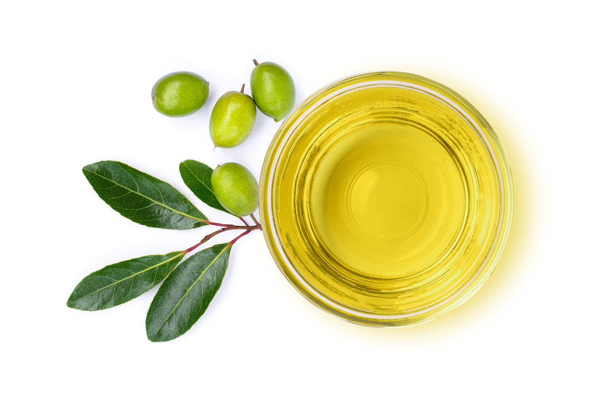is olive oil ok for dogs