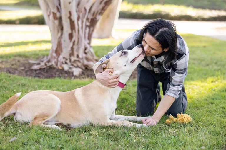 Why Do Dogs Lick You? Dog Behavior Explained | JustFoodforDogs Blog