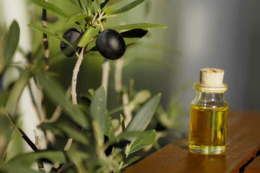 olive leaf extract