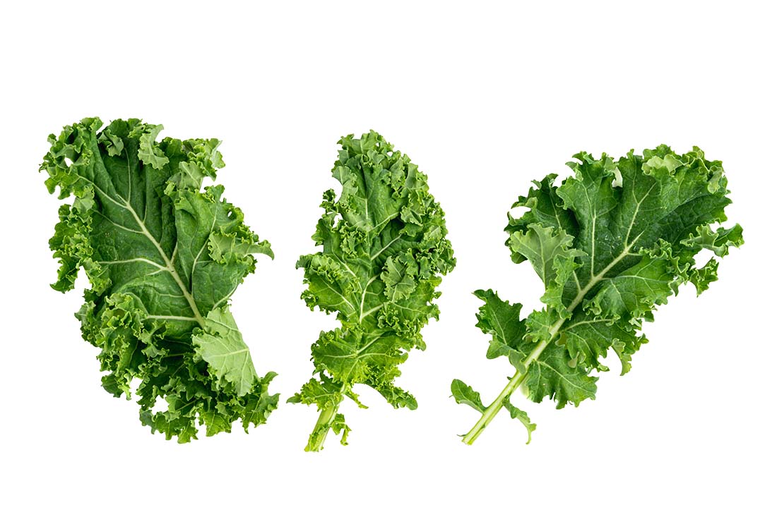is kale safe for dogs