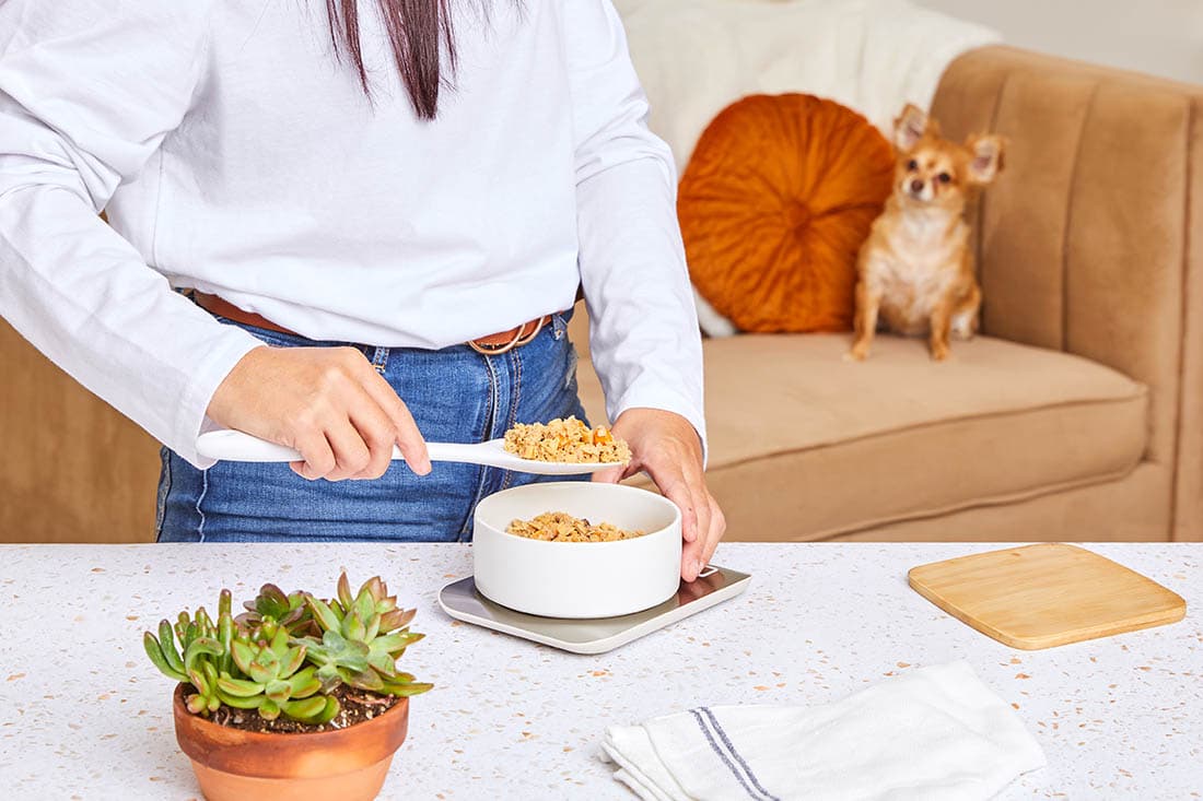 human scooping out dog food portion