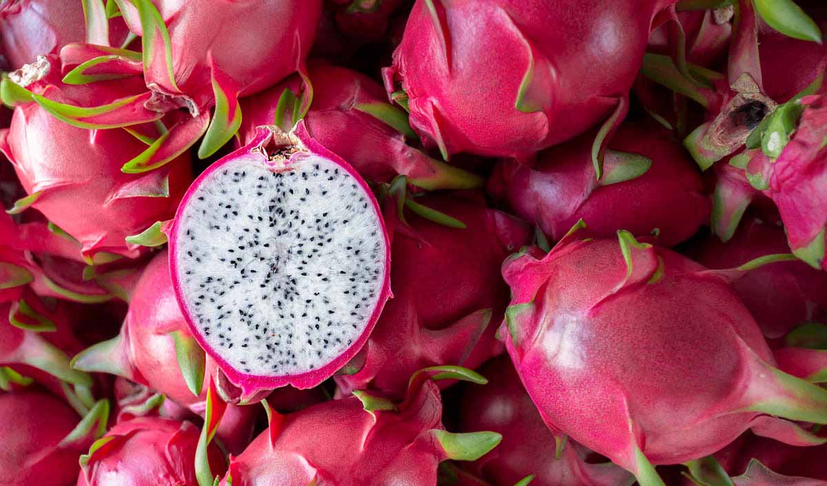 can dogs eat dragon fruit