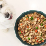 beef dog food begin served to white dog