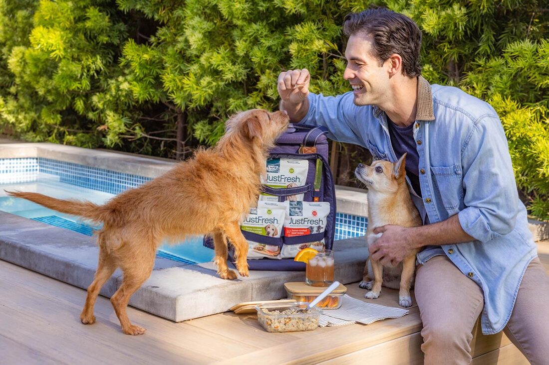 dog and human having a picnic