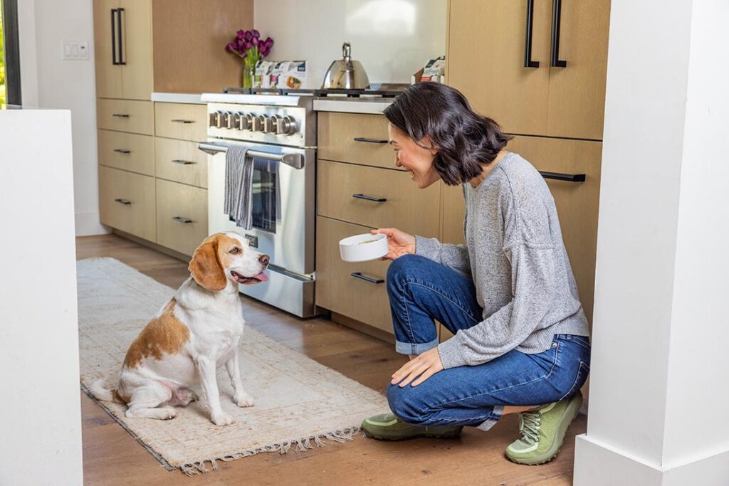 dog getting food bowl