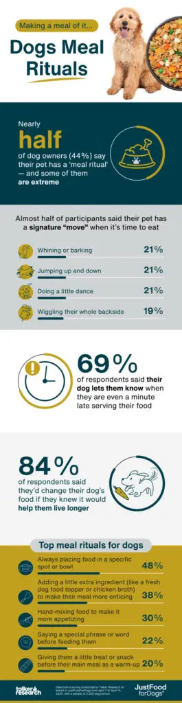 meal rituals infographic