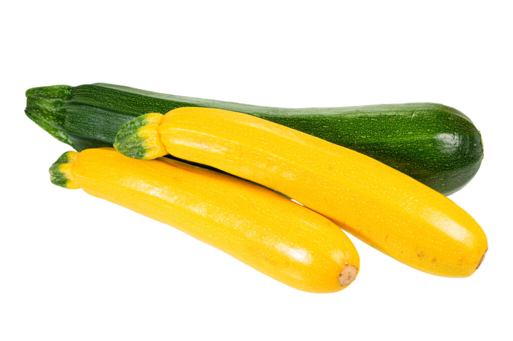 summer squash