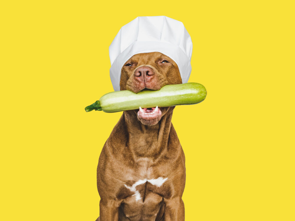 do with summer squash in mouth