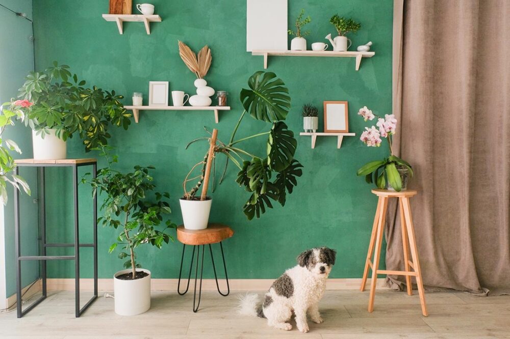 dog surrounded by plants