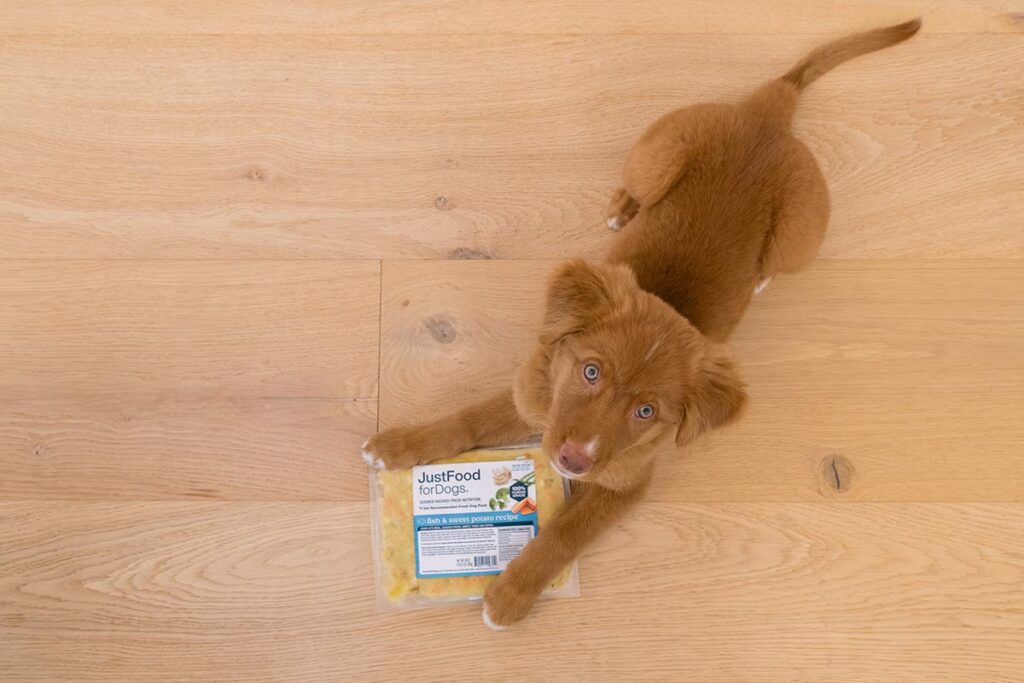 puppy with justfoodfordogs piouch of food