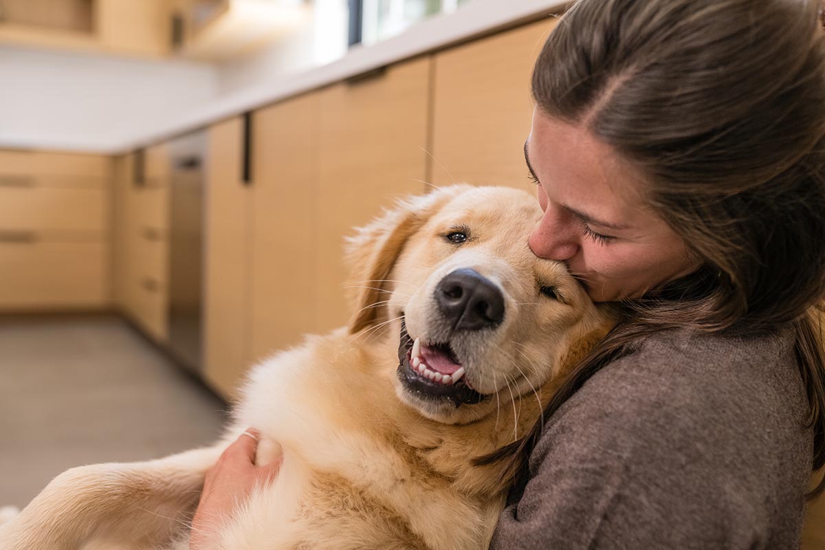 dog being held byhuman