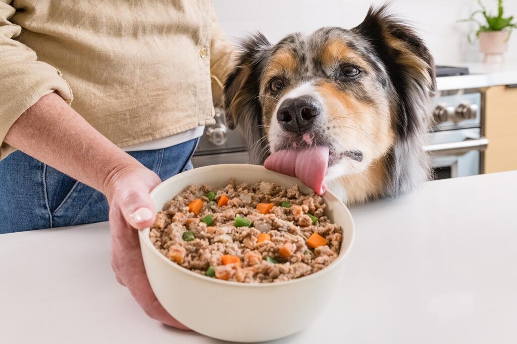 dog licking bowl