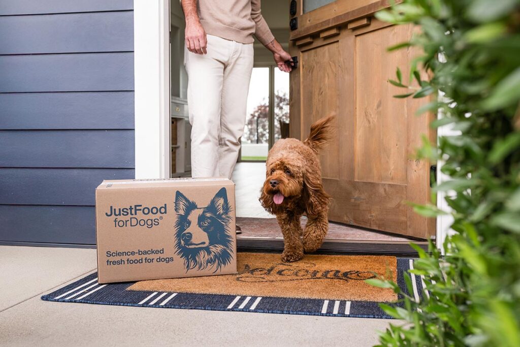 dog food delivery scene with a doodle