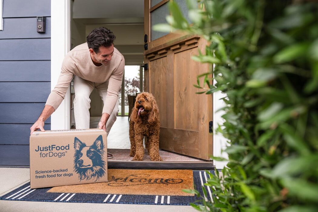 dog food delivery