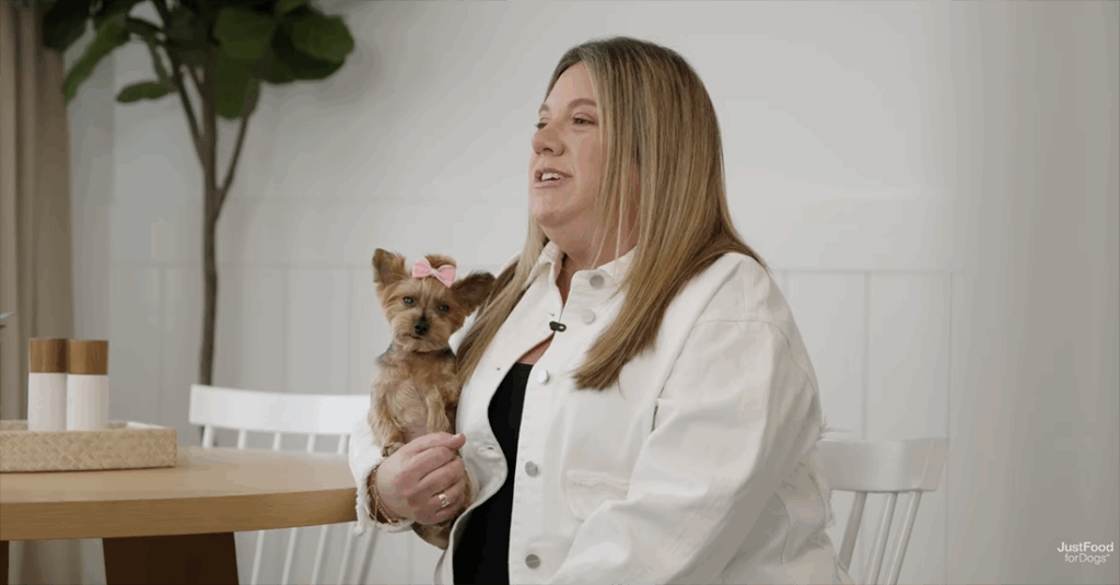 sophie the yorkie in owners arm