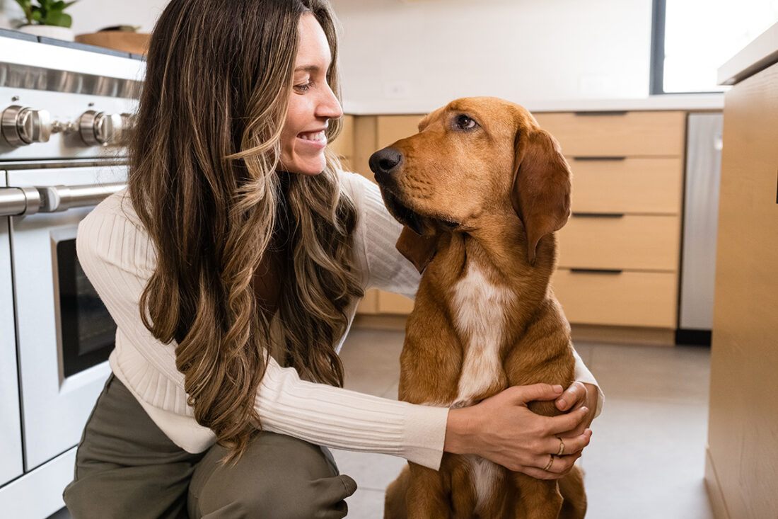 dog looking lovingly at human