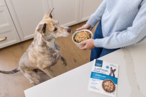 dog getting food with fresh topper