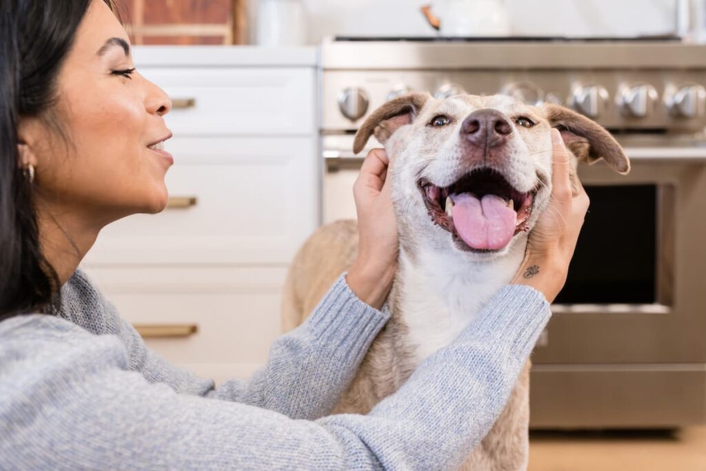 dog smiling and getting ear scritches