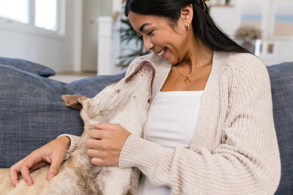 dog cuddling on couch