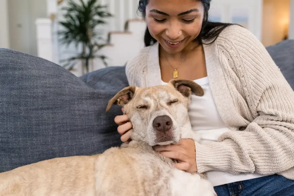 relaxed dog getting scritches