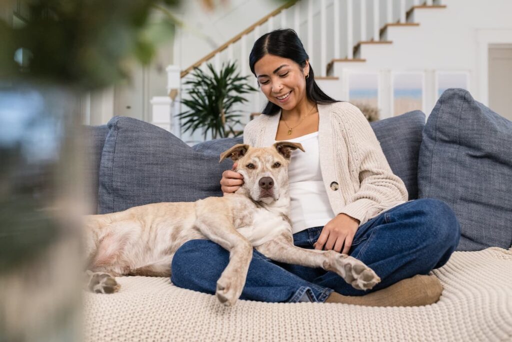 dog hangin out on couch with woman